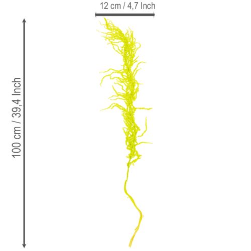Artikel Fuchsschwanz Trockenblumen gefärbt für besondere Wohnraum Deko und einzigartige Akzente 100cm 5St