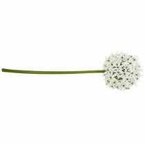 Artikel Deko-Blume Allium, künstlicher Kugellauch, Zierlauch Weiß Ø20cm L72cm