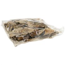 Artikel Baumschwamm Natur Deko Pilze getrocknet 6cm 1kg