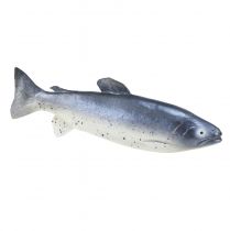 Artikel Deko Fisch Lebensmittelattrappe Fisch künstlich 31cm