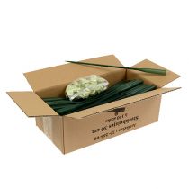 Artikel Gesteckröhrchen 30cm x 1,5cm 100St