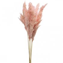Artikel Pampasgras getrocknet Rosa Trockenfloristik 65-75cm 6St im Bund