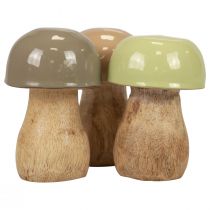 Artikel Holzpilze Deko Pilze Holz Beige, Grün Ø5cm 7,5cm 12St