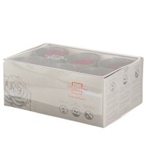 Artikel Rote Rosen Infinity Rosen Echte Rosenköpfe Rot Ø6cm 6 St