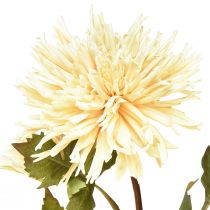 Artikel Chrysantheme Creme Künstliche Blume mit 2 Blüten L70cm