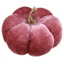 Artikel Kürbis aus Stoff Deko Samt Burgund Rosa Ø7cm 9 St