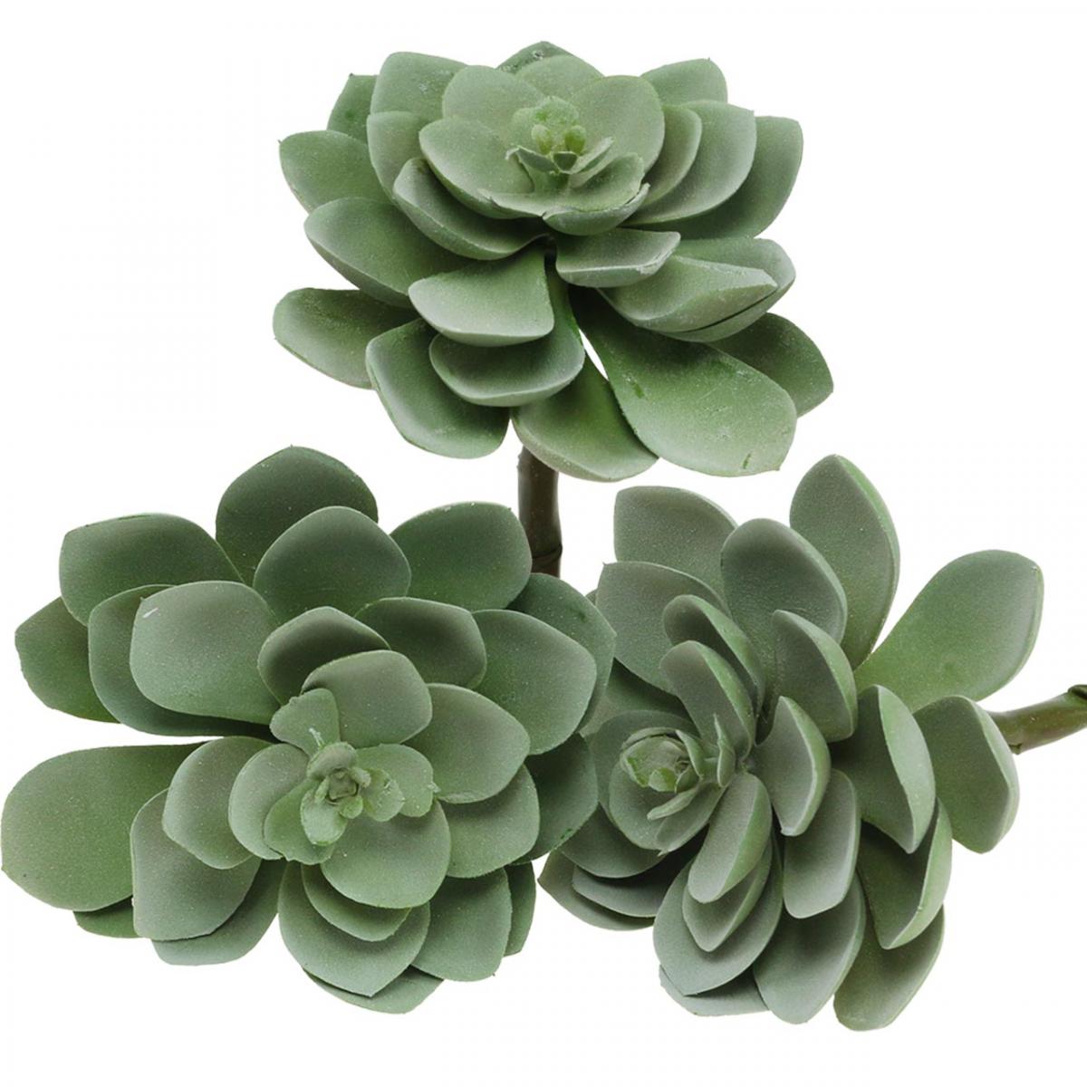 Sukkulenter Kaktus ECHINO H27 künstlich schöne Qualität VEGETAL SHOP