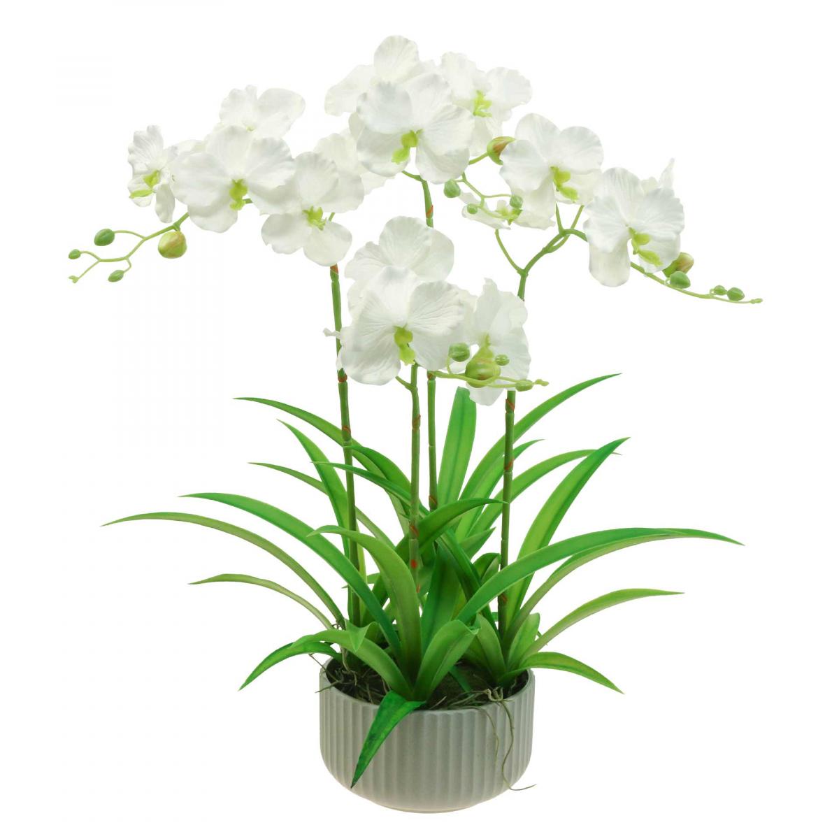 Topf Floristik24.ch Weiß Künstliche Kunstblumen 60cm-07749 im Orchideen