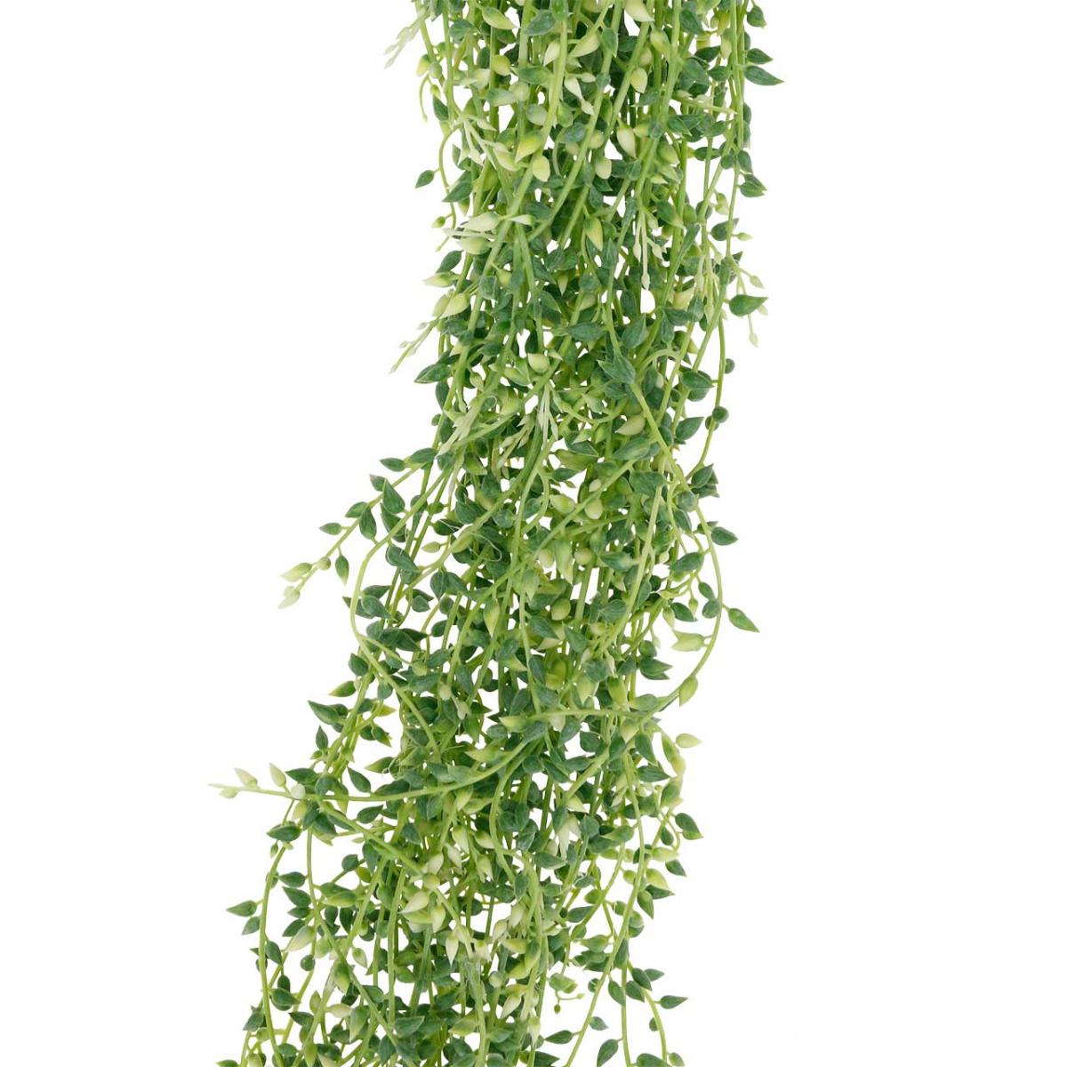 Floristik24.ch Sukkulente hängend Hängepflanze künstlich 96cm-11943 Grün
