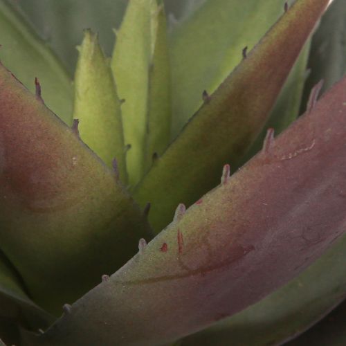 Artikel Aloe Vera Kunstpflanze Lila Künstliche Sukkulenten Ø18cm