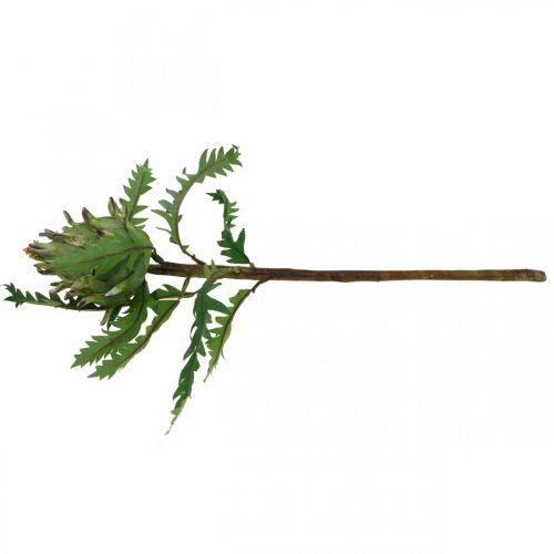 Artikel Künstliche Artischocke Grün Deko Herbst Ø7,5cm H43cm