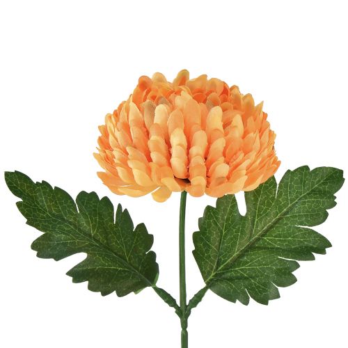 Floristik24 Chrysantheme Orange Ø7cm L18cm 1 St