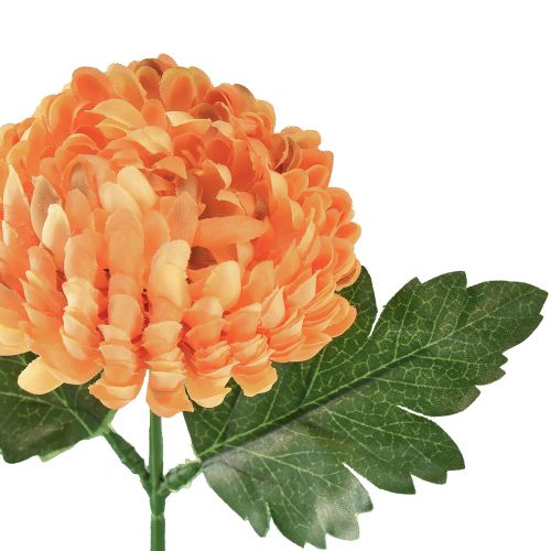 Artikel Chrysantheme Orange Ø7cm L18cm 1 St