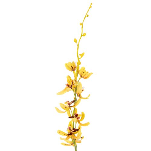 Artikel Künstliche Cymbidium Orchidee als Blütenstiel für elegante Dekoration 95cm 2St