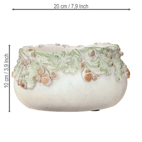 Artikel Deko Schale Steinguss Eicheln Pflanzschale Ø20cm H10cm