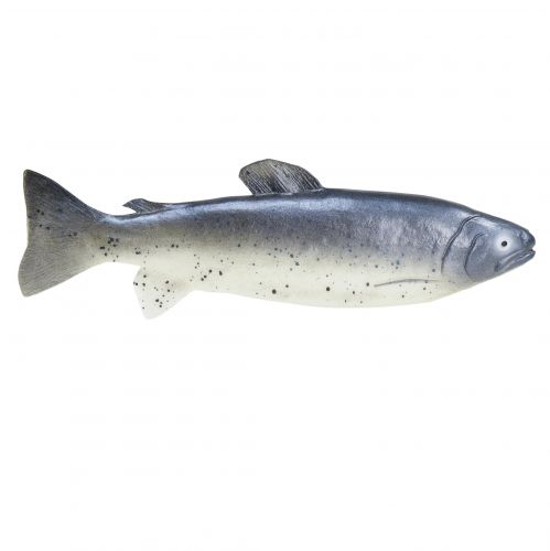 Artikel Deko Fisch Lebensmittelattrappe Fisch künstlich 31cm