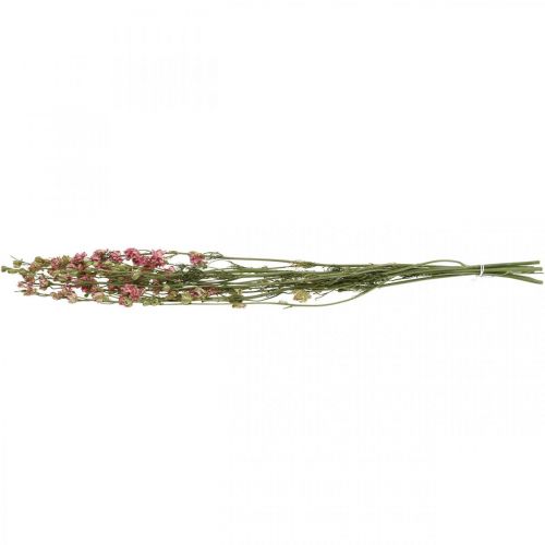 Artikel Trockenblume Rittersporn, Delphinium Rosa, Trockenfloristik L64cm 25g