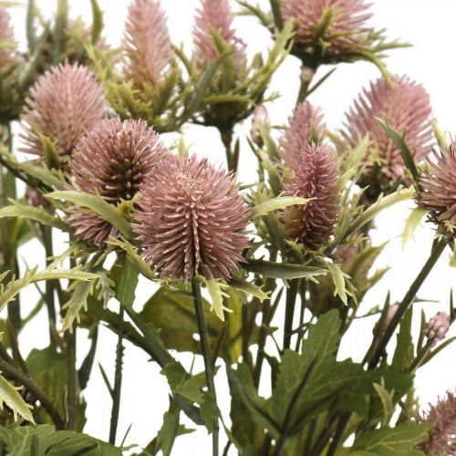 Floristik24 Distel Künstliche Stielblume Rosa 10 Blütenköpfe 68cm 3St
