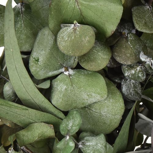 Artikel Eukalyptus Naturkranz Ø35cm konserviert Duftdeko