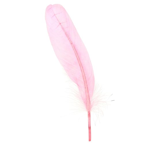 Federn zum Basteln Rosa Gänsefedern 18cm – 20cm 20g x 2St