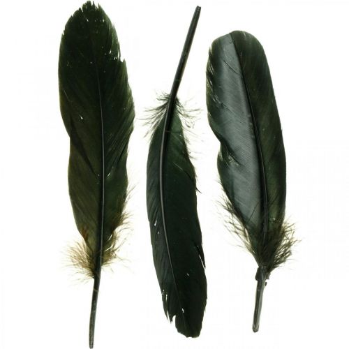 Deko Federn Schwarz Vogelfedern zum Basteln 14-17cm