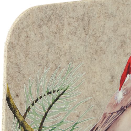 Artikel Filzmatte Tischmatte Rotkehlchen Grau Filz 40×30cm 4 St