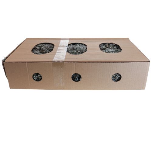 Artikel Flechten Flechtenmoos Baummoos Deko Moos Natur 1kg