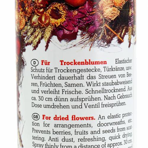 Floristik24 Flora-Dry-Fix Spray 400ml