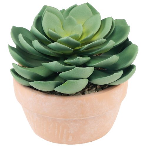 Artikel Sukkulente im Topf Echeveria künstlich Grün Ø15cm