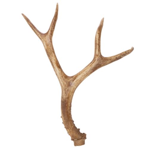 Artikel Künstliches Geweih aus Polyresin in natürlicher Optik 32cm