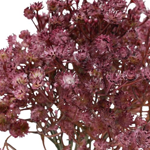 Artikel Gipskraut Gypsophila Schleierkraut künstlich Lila 35cm 5 St