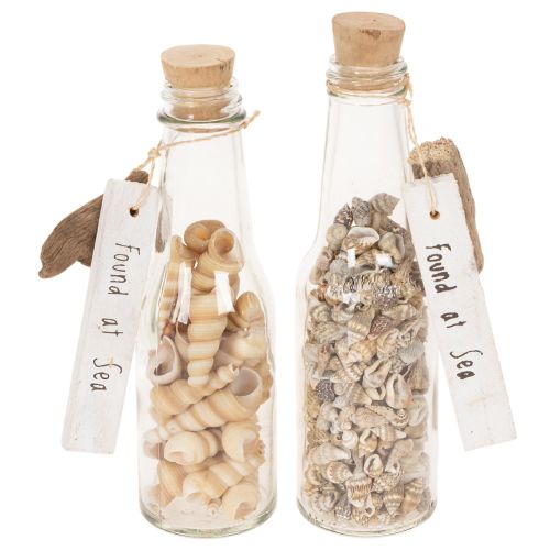 Artikel Glasflaschen-Set mit Muscheln und Anhänger, 17 cm, 2 Stück, maritime Tischdekoration