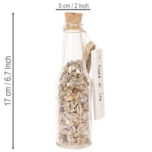 Artikel Glasflaschen-Set mit Muscheln und Anhänger, 17 cm, 2 Stück, maritime Tischdekoration