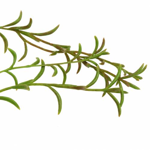 Floristik24 Korallenkaktus künstlicher Rhipsalis Hänger 90cm