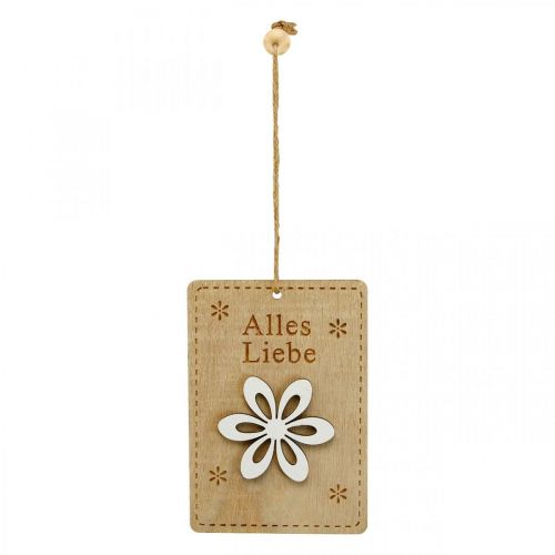 Artikel Anhänger Holz Schild mit Spruch Frühlingsdeko 8×12cm 8 St