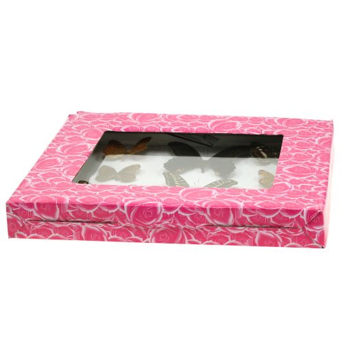 Floristik24 Schaukasten Schmetterling 28cm x 25cm