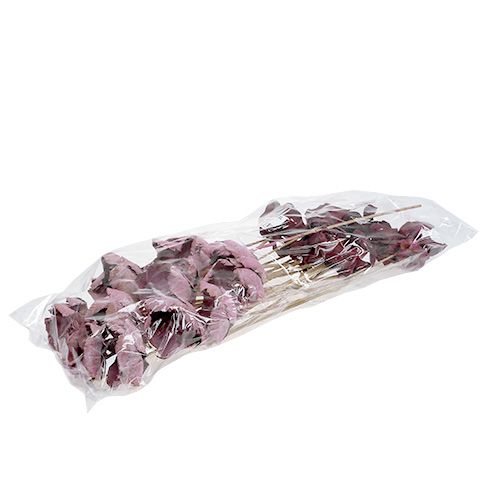 Artikel Holzblume, Palm Cup Mix Rosa-Erika 25 St