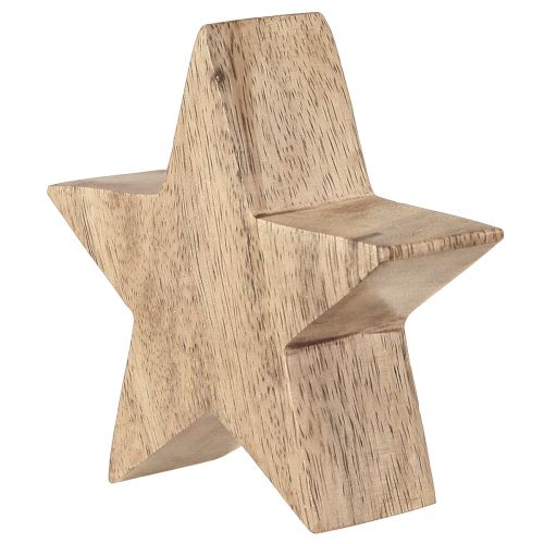 Floristik24 Holzstern Natur Stern Mangoholz Tischdeko Ø10cm 3 St