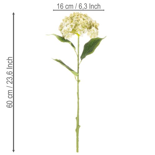 Artikel Künstliche Hortensie aus Seidenstoff mit Stiel und Blättern 60 cm creme-grün