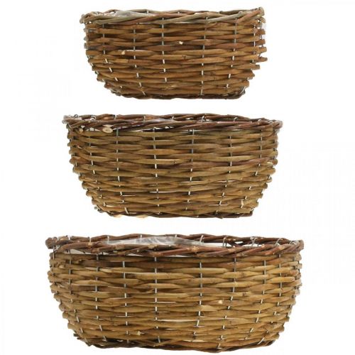 Floristik24 Korbschale Natur Pflanzkorb Weidenkorb Ø21,5/26/Ø31cm 3er-Set