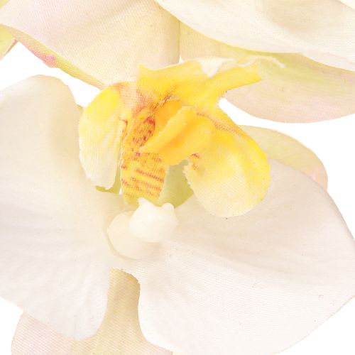 Artikel Künstliche Orchideen im Topf Weiß Mini Orchideen Ø7cm H22cm