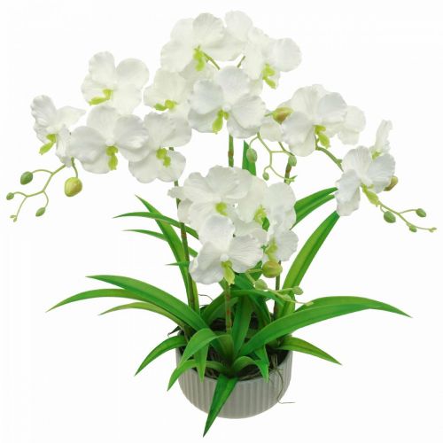 Weiß Kunstblumen Orchideen Floristik24.ch Topf Künstliche 60cm-07749 im