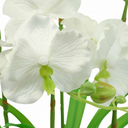 Floristik24 Künstliche Orchideen Kunstblumen im Topf Weiß 60cm