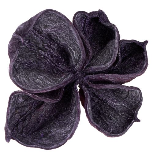 Artikel Landlotus Mix Brombeer, Altrosa 50St