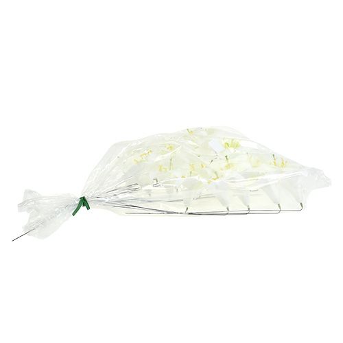 Artikel Lilie am Draht mittel 25St