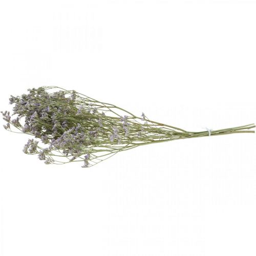Floristik24 Trockenfloristik, Strandflieder, Statice Tatarica, Meerlavendel, Limonium Violett L45–50cm 30g