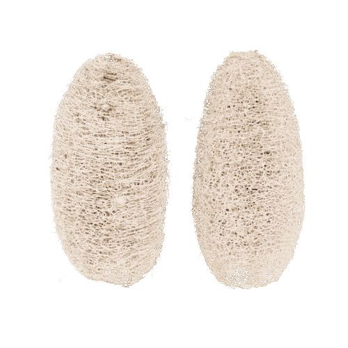 Artikel Luffa klein gebleicht 50St