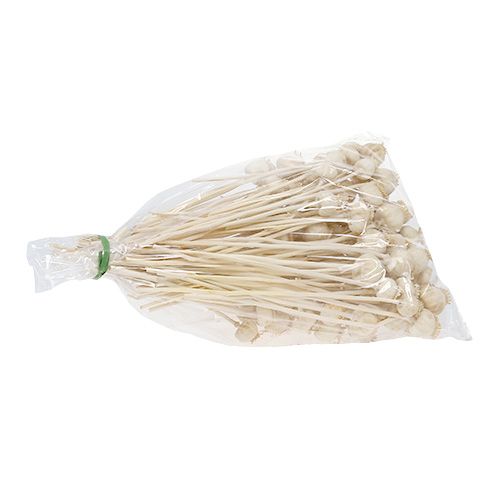 Floristik24 Mohnköpfe gebleicht 100 St