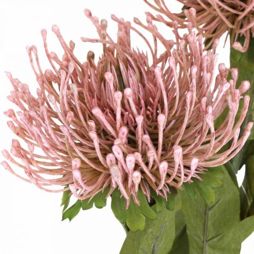 Artikel Herbstblume Nadelkissen künstlich Protea Rosa Leucospermum 73cm 3St