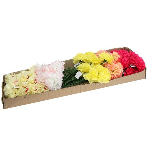 Floristik24 Nelke farbig sortiert am Draht 72 St